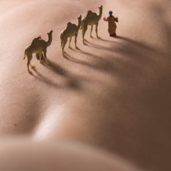Il corpo in miniatura è una serie fotografica in continuo aggiornamento che intende esplorare e reinterpretare varie parti del corpo umano, decostentualizzandole ed usandole come scenari per diverse azioni.